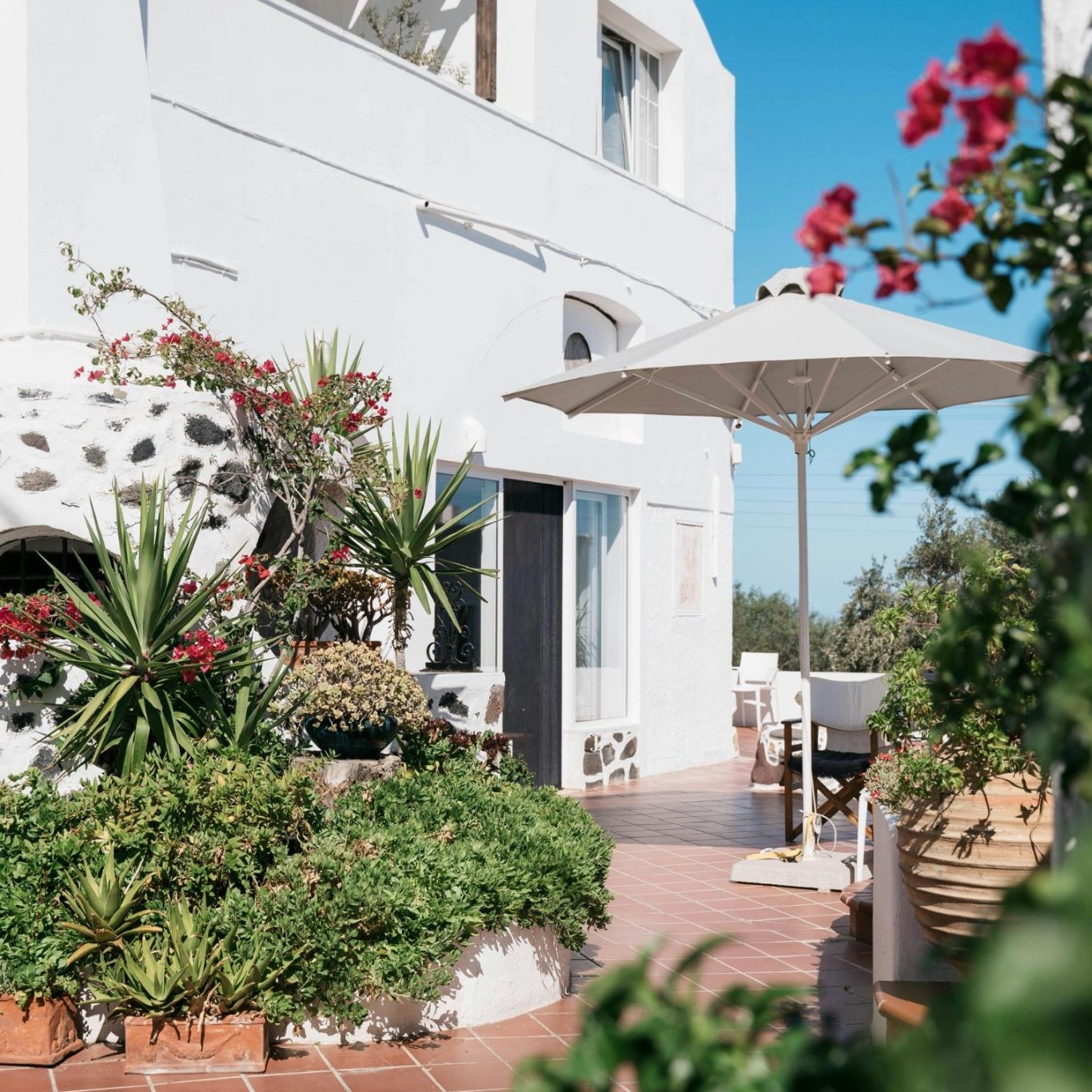 Terrasse méditerranéenne fleurie devant une maison blanche